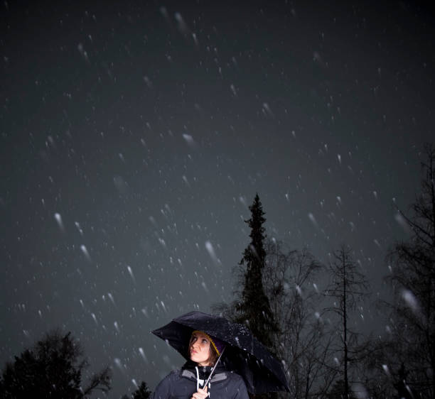 istock young woman under an umbrella in the snow 108271008