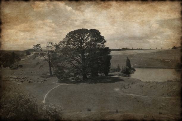 istock old New Zeland landscape photo 108271125
