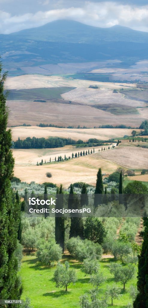 Soleado paisaje de la Toscana cerca de Pienza, cypresses y granjas, los olivos - Foto de stock de Aire libre libre de derechos