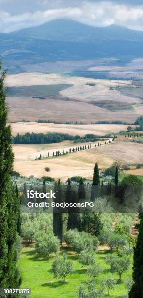 Foto de Sunny Paisagem Toscana Perto Pienza Ciprestes Verdejantes Oliveiras E Terras e mais fotos de stock de Cena de tranquilidade