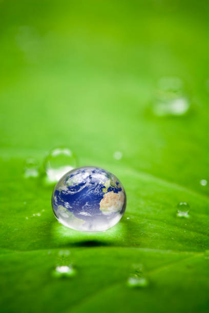 �행성입니다 지구별 waterdrop. 환경 용수 잎 네이쳐향 전 세계 - water drop leaf earth 뉴스 사진 이미지