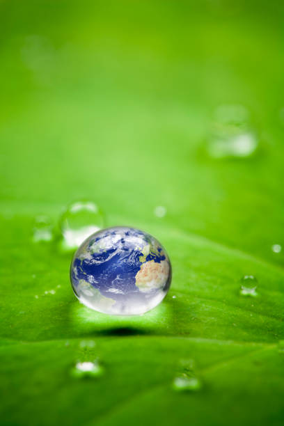 планета земля водослива. среда шар воды leaf nature world - earth water green drop стоковые фото и изображения