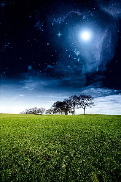 istock Surreal Mystical Woodland Landscape 108271597