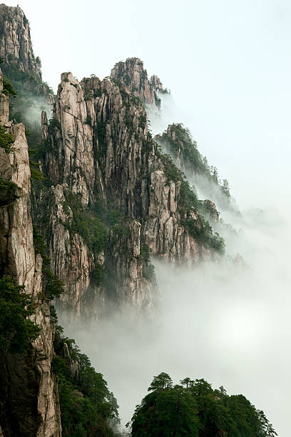 istock Beauty In Nature 108271637