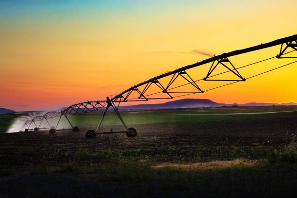 istock Irrigation equipment spraying water in the sunset 108271985