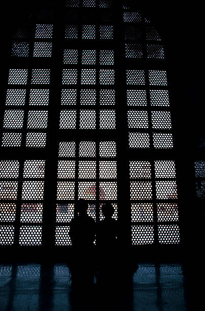 istock Women in front of window.    Taj Mahal 108272016