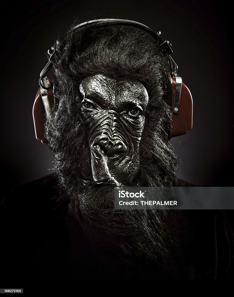 classic music gorilla guy wearing a gorilla mask and vintage read headphones, staring a camera. Black Background Stock Photo
