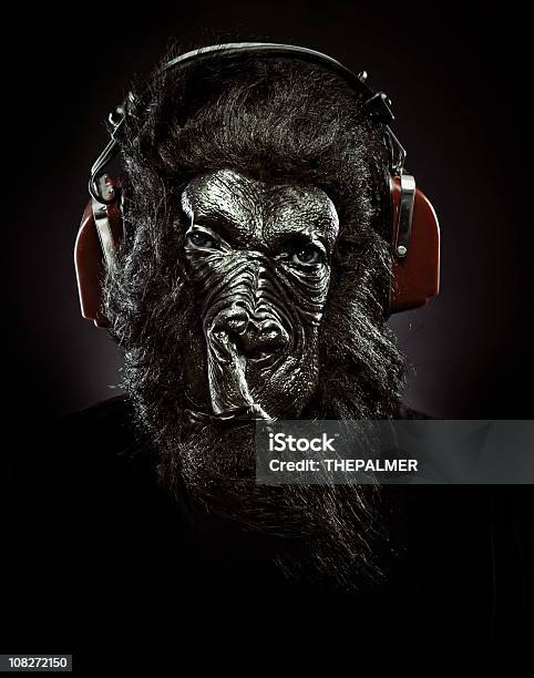 Classic Music Gorilla Stock Photo - Download Image Now - Black Background, Music, Animal Representation