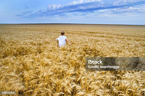 Junge Laufen Bis Vor Ernte Weizen Feld Und Dramatischer Himmel Stockfoto und mehr Bilder von Kansas