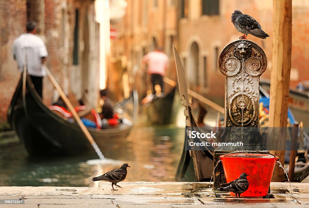 Aqueça tarde em Veneza - Royalty-free Veneza - Itália Foto de stock