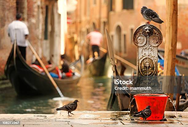 Aqueça Tarde Em Veneza - Fotografias de stock e mais imagens de Veneza - Itália - Veneza - Itália, Pombo - Pássaro, Fonte de Água Potável