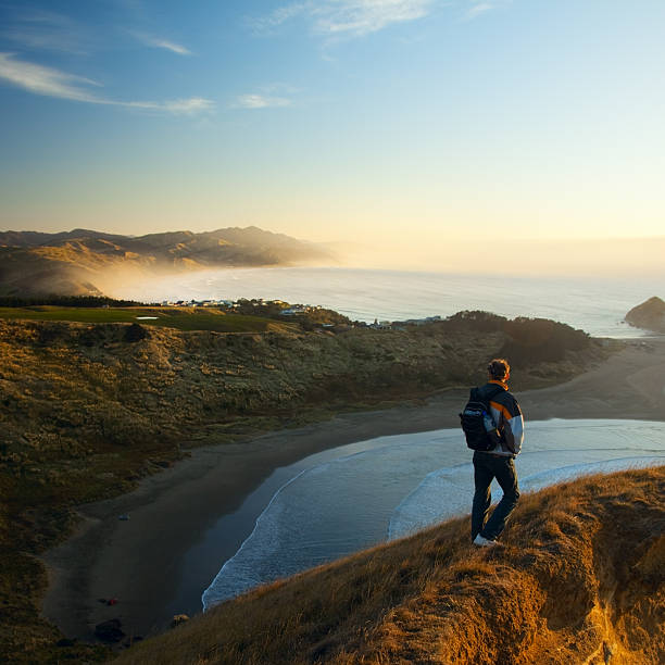 Near Napier, North Island, New Zealand