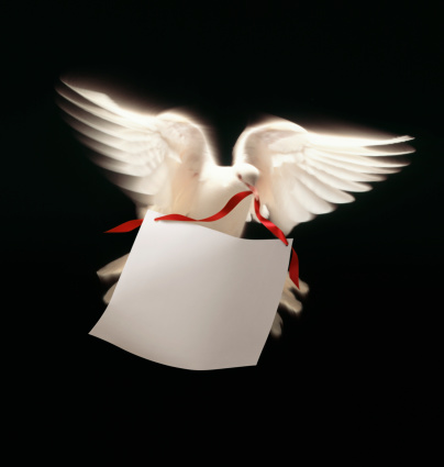 White dove in flight carrying a blank message. Add your own text.