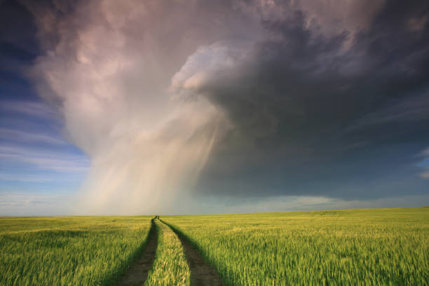 tempestade-da-pradaria - prairie wide landscape sky imagens e fotografias de stock