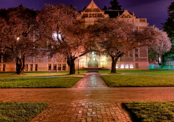 University of Washington bei Nacht – Foto