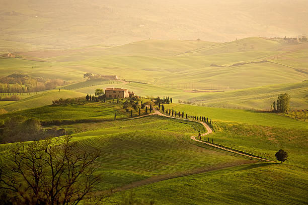 istock Typical farm in the Tuscany 108272900