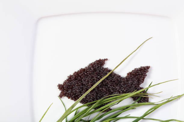 Red caviar on a fork against the blue sky, close-up