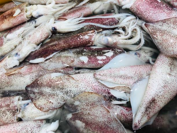 istock Freah Squid in Seafood Market 1082729436