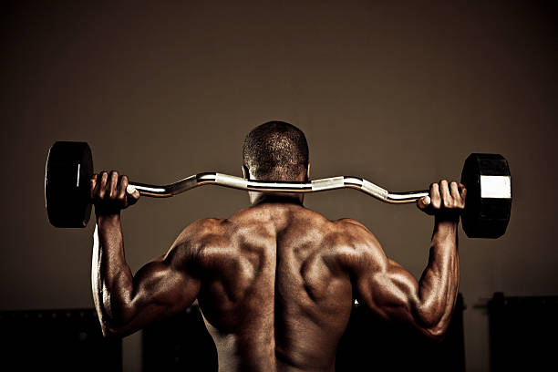 i muscoli posteriori - back rear view men muscular build foto e immagini stock