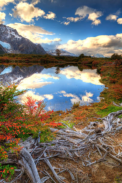 Cerro Fitz Roy