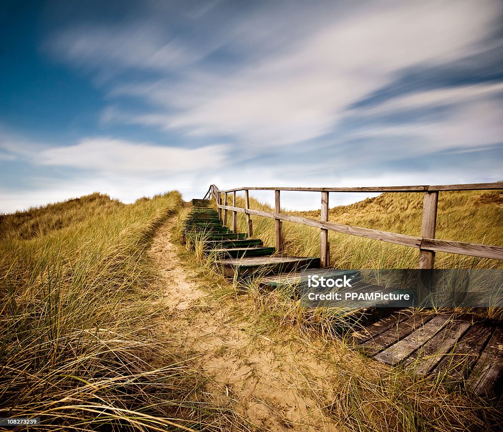 Camino a través de las dunas - Foto de stock de Aire libre libre de derechos