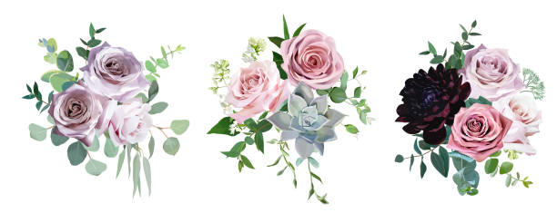 ilustraciones, imágenes clip art, dibujos animados e iconos de stock de polvo rosadas y malvas antiguas pálidas, rosa flores vector diseño de ramos de novia - lavender lavender coloured bouquet flower