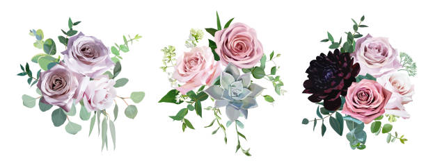 더 스 티 핑크와 연보라 골동품 장미, 창백한 꽃 벡터 디자인 웨딩 부케 - cut flowers rose purple flower arrangement stock illustrations