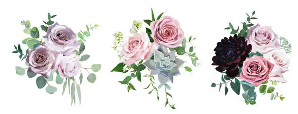 Vector illustration of Dusty pink and mauve antique rose, pale flowers vector design wedding bouquets