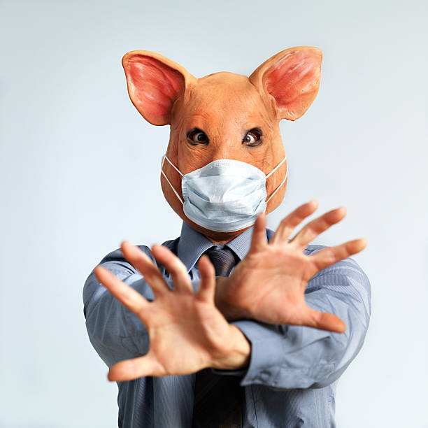 de gripe suína conceito, homem vestindo máscara com cabeça de porco - pig swine flu flu virus cold and flu - fotografias e filmes do acervo