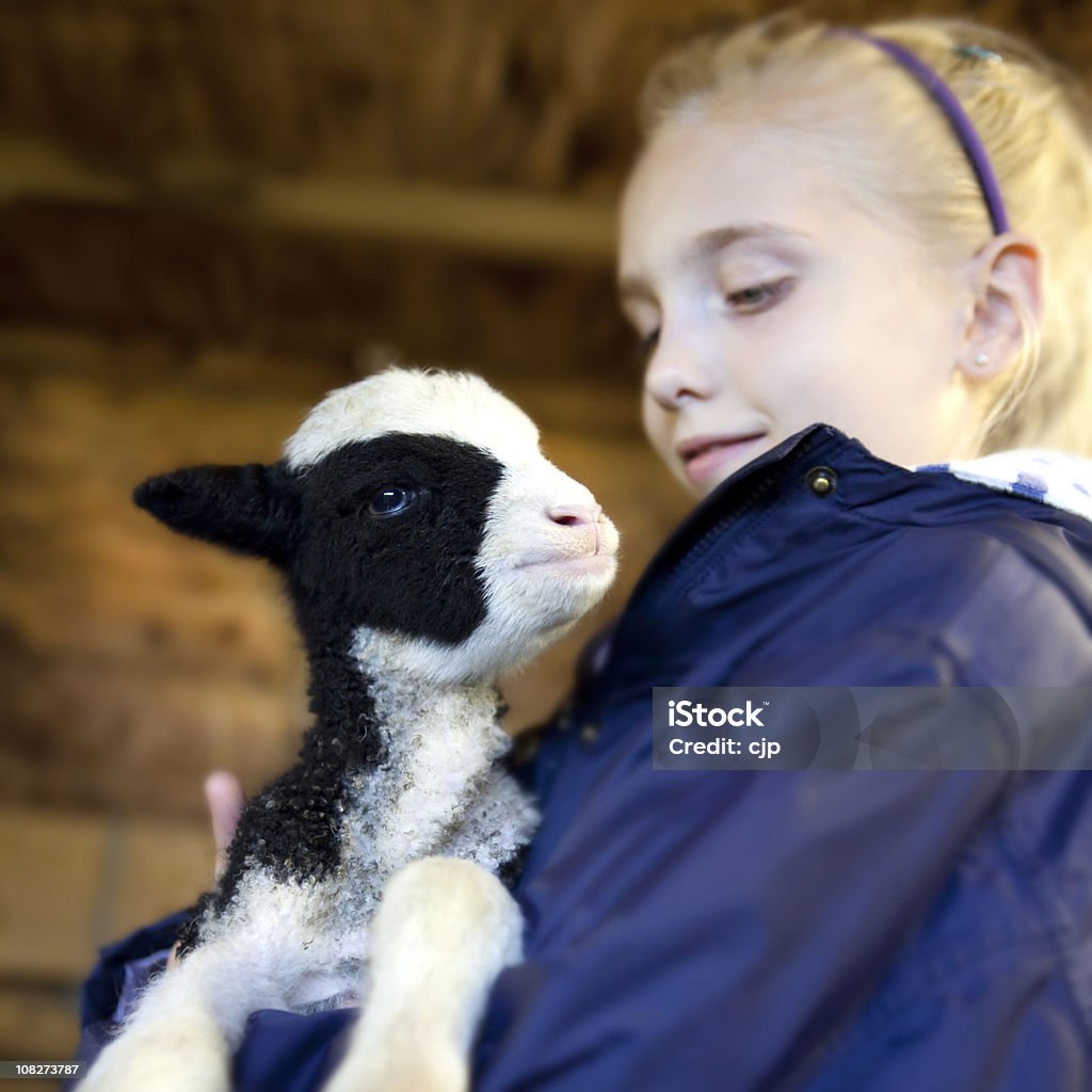 Ragazza con agnello di primavera - Foto stock royalty-free di Agnello - Animale