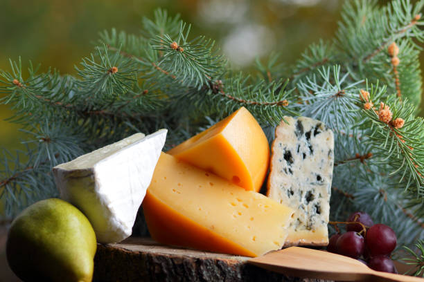istock Various types of cheese and fruit with Christmas tree branches. Blue cheese, camembert and hard cheese on wooden boards. Dairy product, pear and grapes on blurred background. Healthy food 1082740240