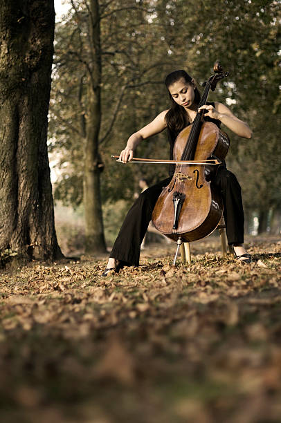 istock Woman with cello outdoors 108274142