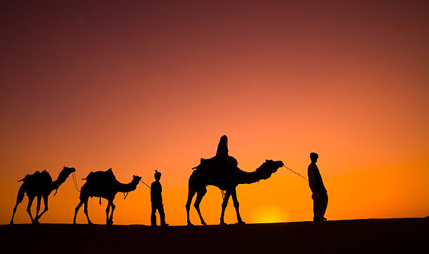 istock Silhouette of Camel Safari in Desert 108274155