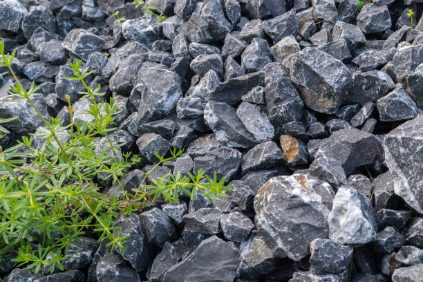 istock Gray Gravel Background 1082741812