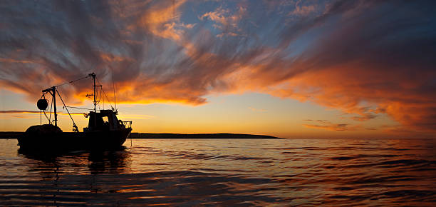 Fish Boat at Sunset Panorama stock photo