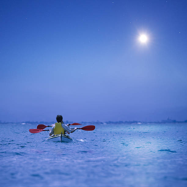 Family enjoy sea kayaking in the sunset.  