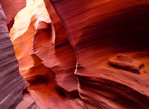 rattlesnake canyon - rattlesnake photos et images de collection