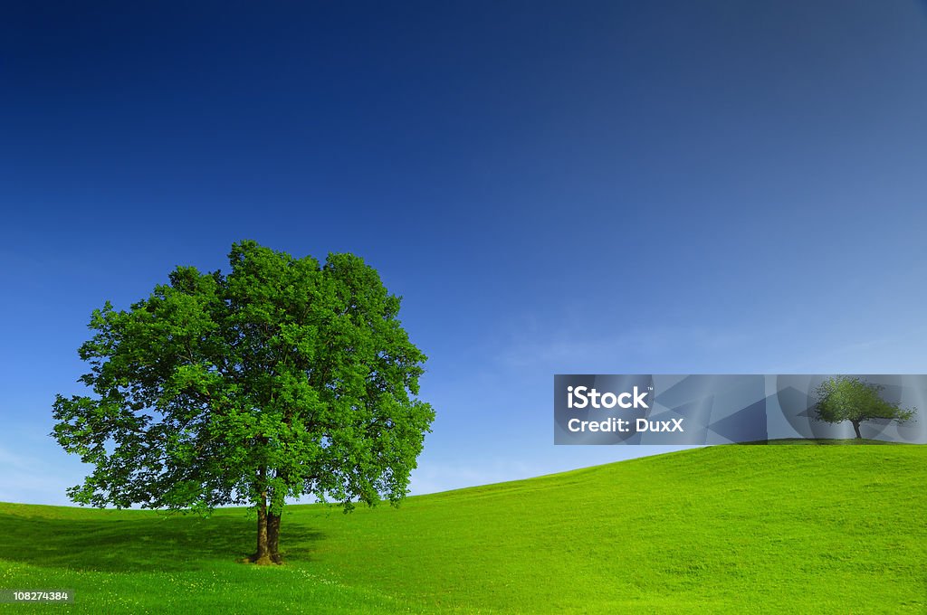 Grünen Feld und Baum Landschaft - Lizenzfrei Abgeschiedenheit Stock-Foto