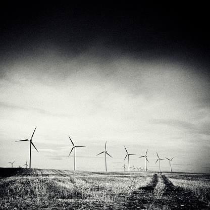 Wind turbines, black and white, grain added.