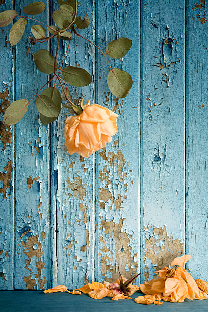 Bouquet of flowers entangled in netting against clear blue sky background.