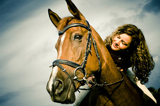 portrait of arabian stallion (details)
