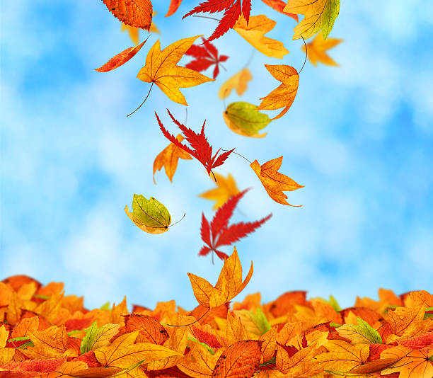 istock The Beauty Of Autumn 108274751