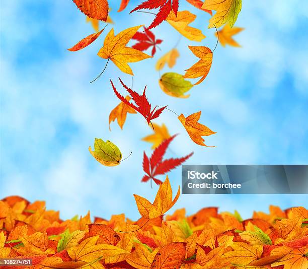 Piękna Jesieni - zdjęcia stockowe i więcej obrazów Bez ludzi - Bez ludzi, Czerwony, Duża grupa obiektów