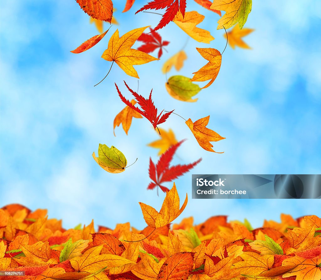 A beleza de outono - Foto de stock de Amarelo royalty-free