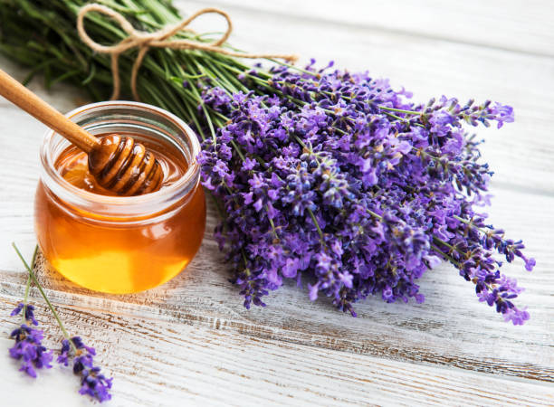 istock Jar with honey and fresh lavender 1082748810