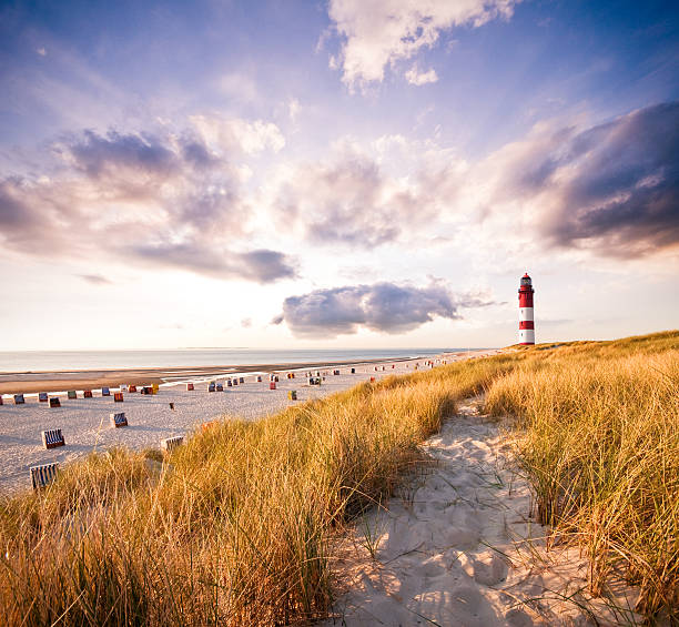 leuchtturm in den dünen - deutsche nordseeregion stock-fotos und bilder