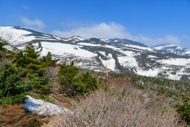 mt.adatara im frühling - nihonmatsu stock-fotos und bilder