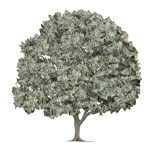 árbol con hojas hechas de hundred dollar bills - money doesnt grow on trees money tree wealth paper currency fotografías e imágenes de stock