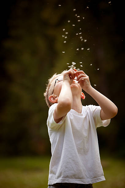 boy blowing Dandelion into air