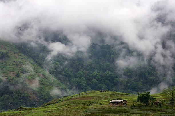 A small farm house sits on a clearing in the high-top mountains of far North Vietnam not far from the Chinese border. in this region, rice, corn and other vegetables are grown.